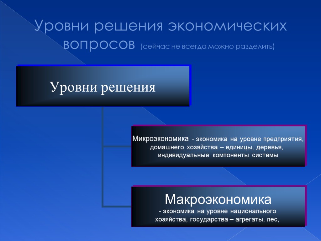 Уровни решения экономических вопросов (сейчас не всегда можно разделить)